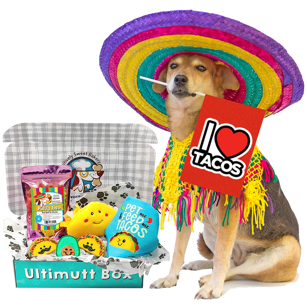 Ultimutt Subscription Dog Box by PAWsitively Sweet Bakery