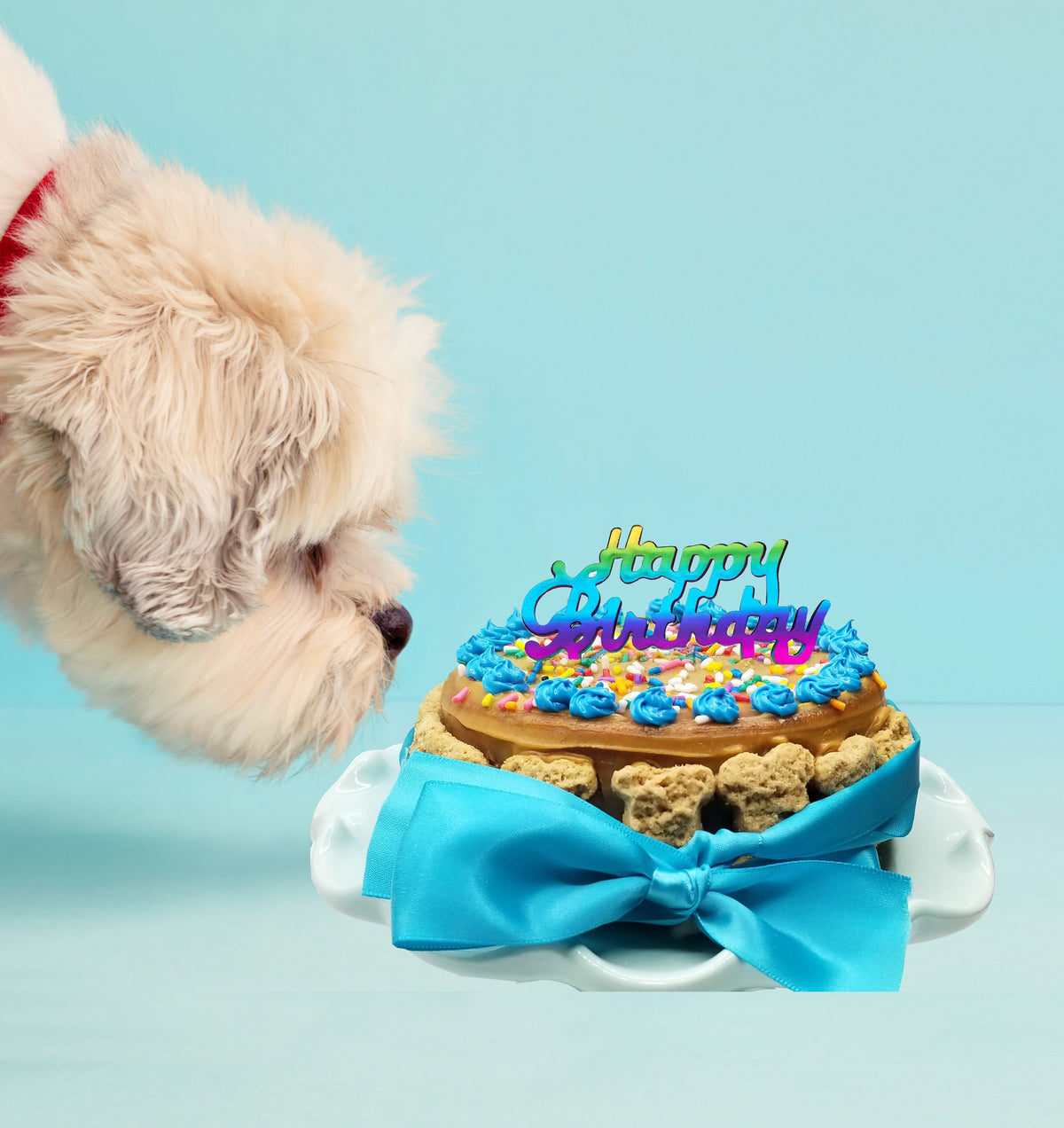 Celebration Cakes