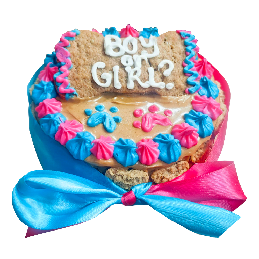 5" Gender Reveal Dog Cake