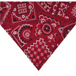 Red Handkerchief Pet Bandana