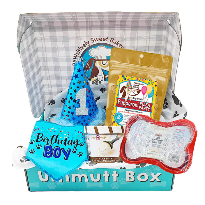 Dog Birthday Blue Boy Box