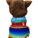 Fiesta Dog Poncho Outfit (custom design)