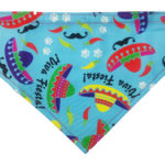 ¡Viva Fiesta! Sombrero Teal Pet Bandana