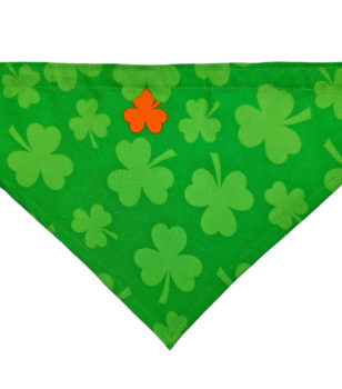 St. Patrick's Day