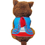 Fiesta Mariachi Pet Outfit (teal & red)