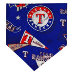 Texas Rangers Pet Bandana