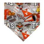 University of Texas Longhorns Pet Bandana