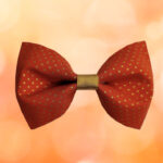 Pumpkin Spice Fall Thanksgiving Pet Bow / Bow Tie