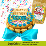 dog cake freshly baked by pawsitively sweet bakery