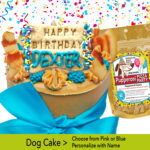 bacon dog cake by pawsitively sweet dog bakery