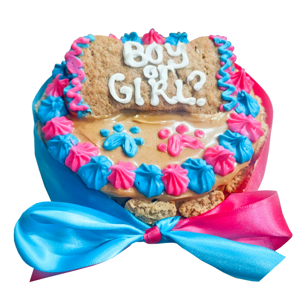 dog cakes for gender reveal celebration