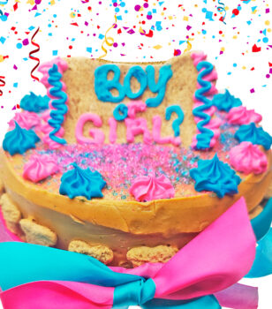 gender reveal cake for dogs by pawsitively sweet bakery