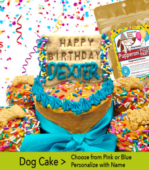 mini dog birthday cake by pawsitively sweet bakery