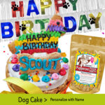 pinata fiesta dog cake by pawsitively sweet bakery