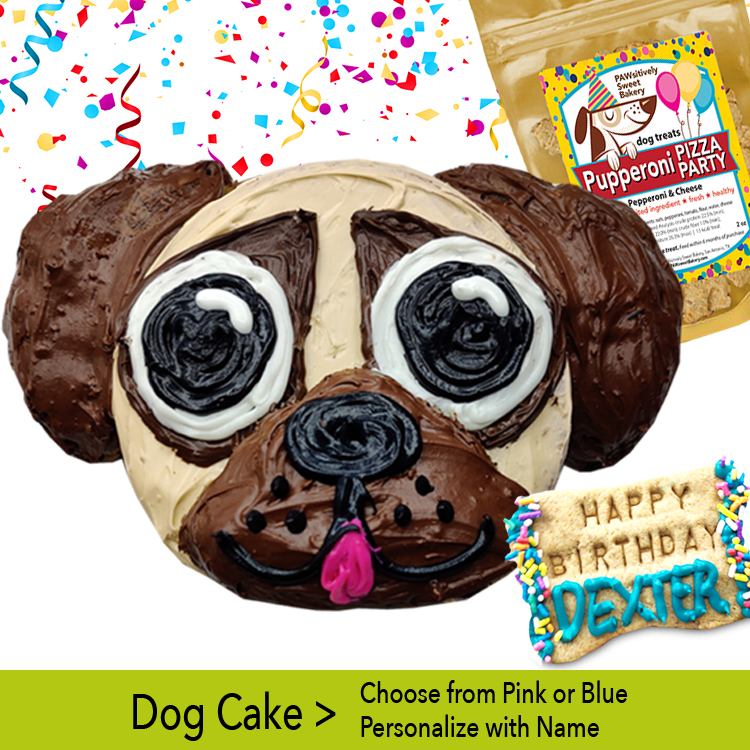 Pug Dog Party Cake