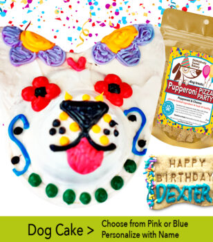 sugar skull dog cake design by pawsitively sweet bakery