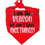 Im the Reason we can't have Nice Things Pet Bandana