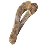 freeze dried duck neck chews for dogs