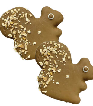 squirrel shape dog cookies