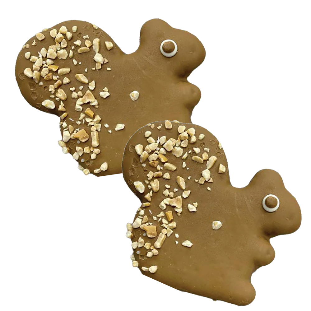 squirrel shape dog cookies