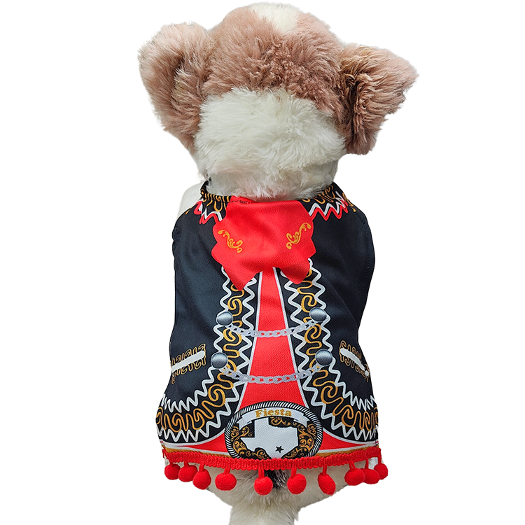 black mariachi dog outfit