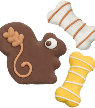 squirrel and bones cookies set