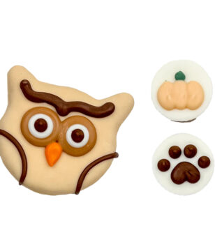 fall seasonal dog cookies