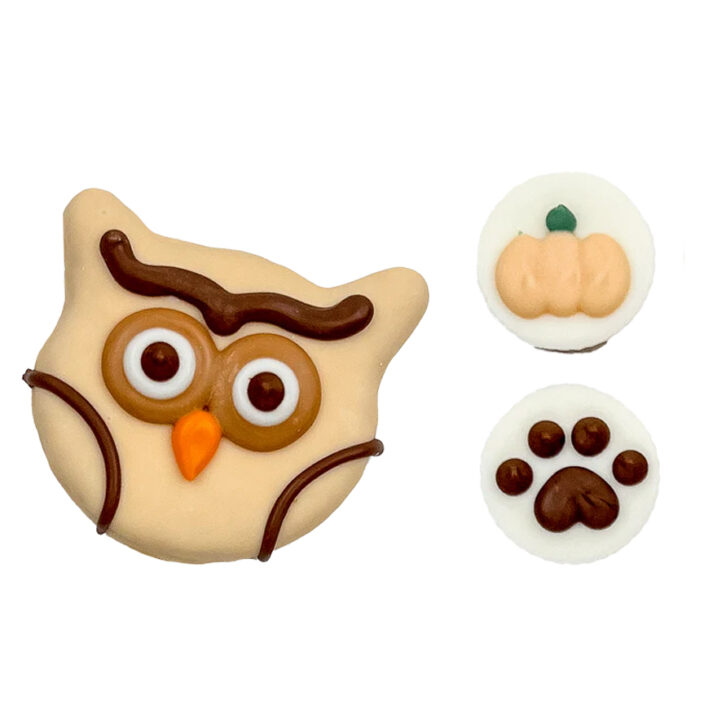 fall seasonal dog cookies