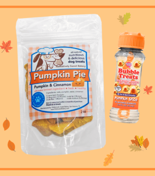 pumpkin spice dog bundle