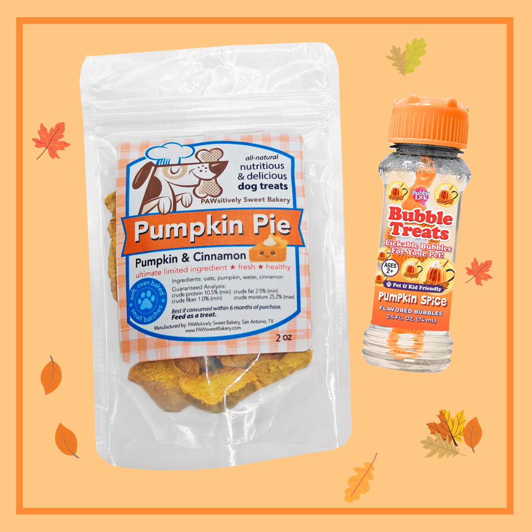 pumpkin spice dog bundle