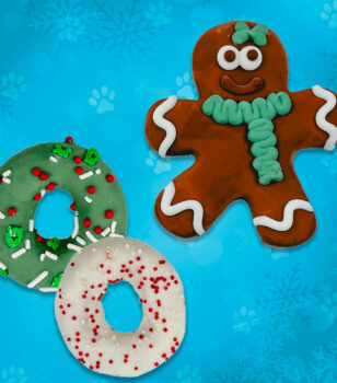 holiday donut dog cookies