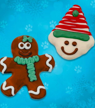 gingerbread elf dog cookies