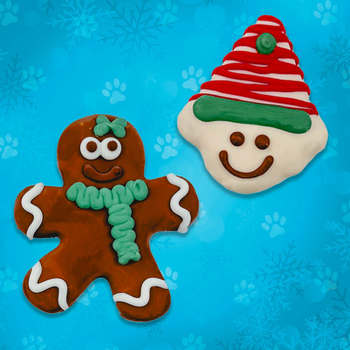 gingerbread elf dog cookies