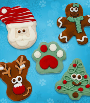 holiday dog cookie set of 5