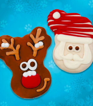 santa and rudolph dog cookies