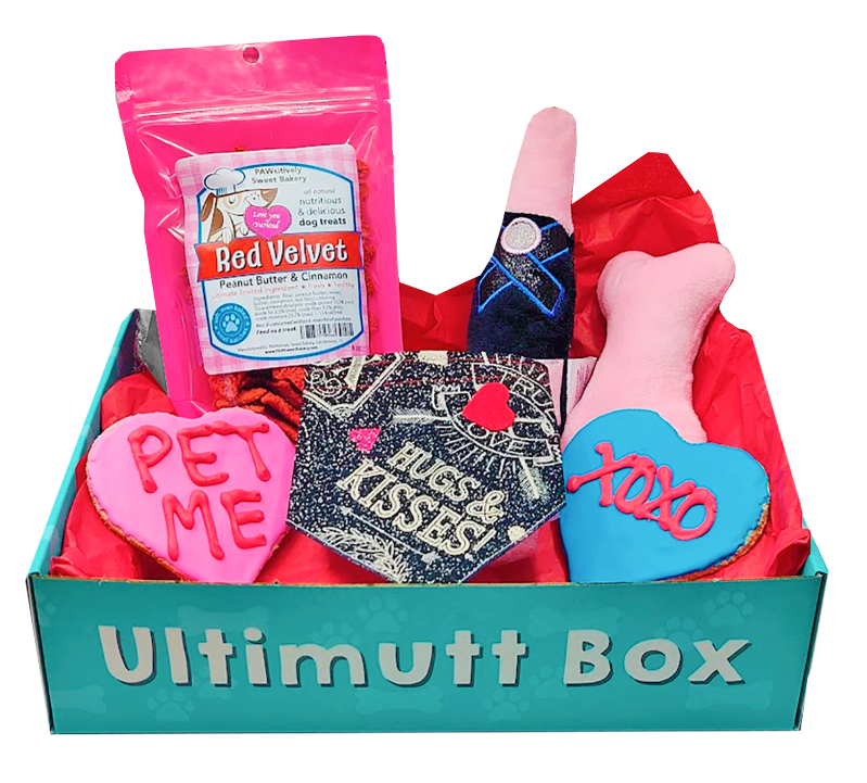 Valentine's Day Dog Gift Box