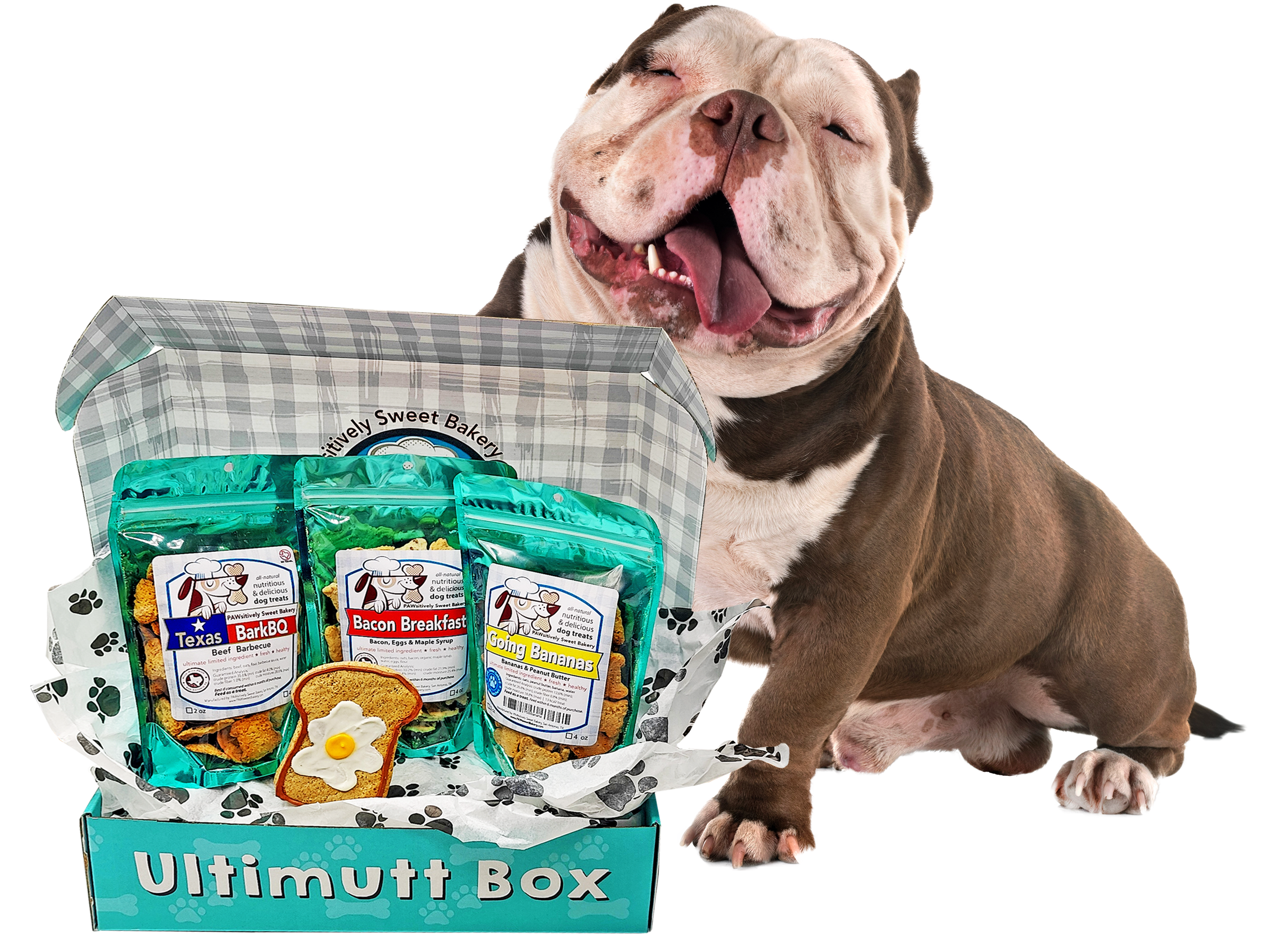 Ultimutt Monthly Treat Box