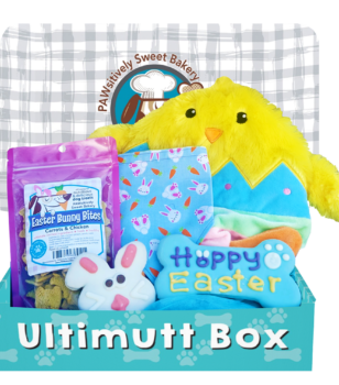 Easter Theme Dog Box