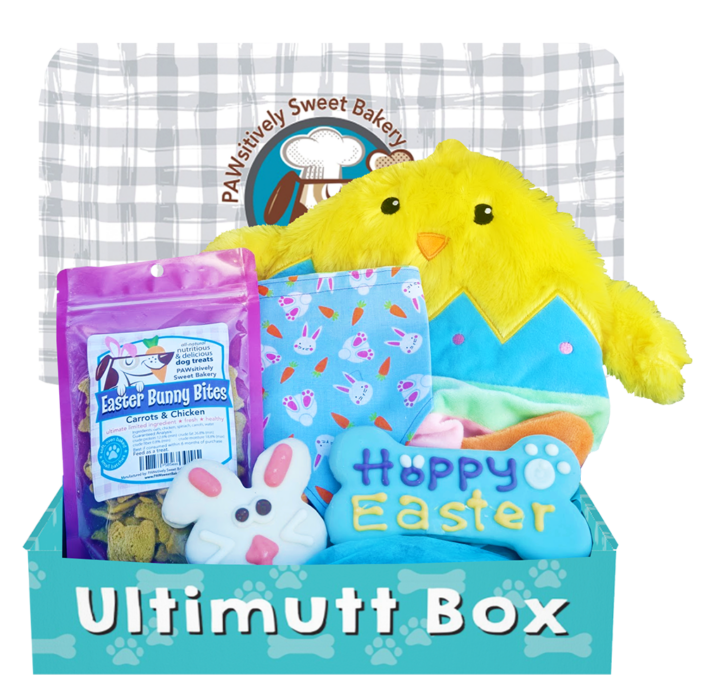 Easter Theme Dog Box