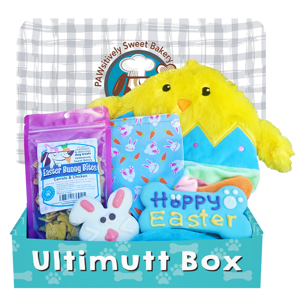 Easter Theme Dog Box