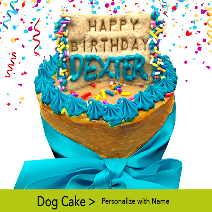 Small dog birthday party cake