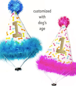 dog birthday hat with age