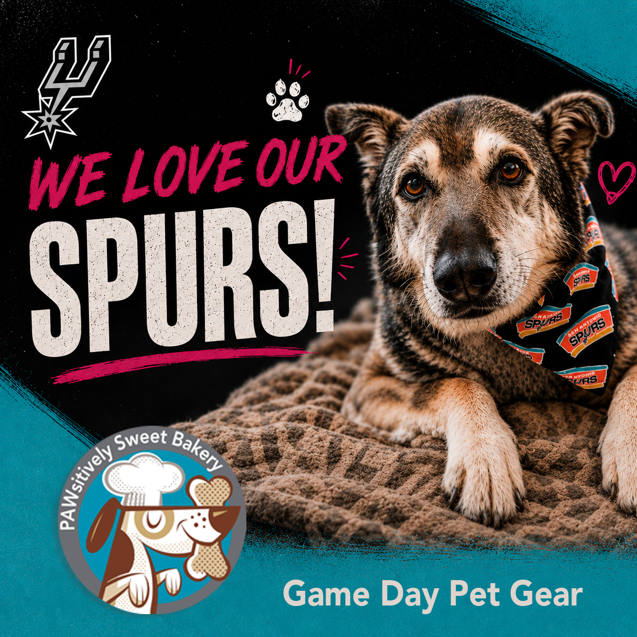 san antonio spurs pet gear and accessories