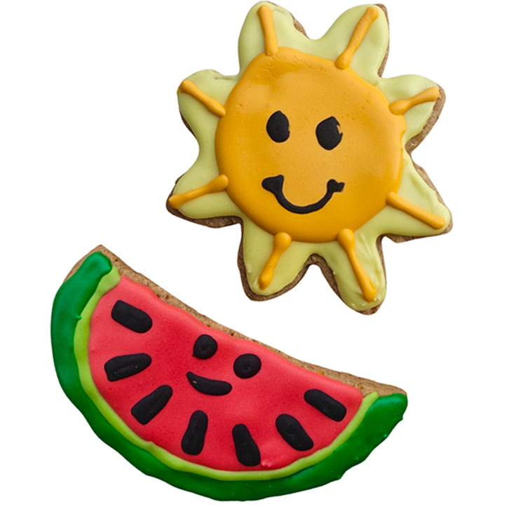 summer dog cookies